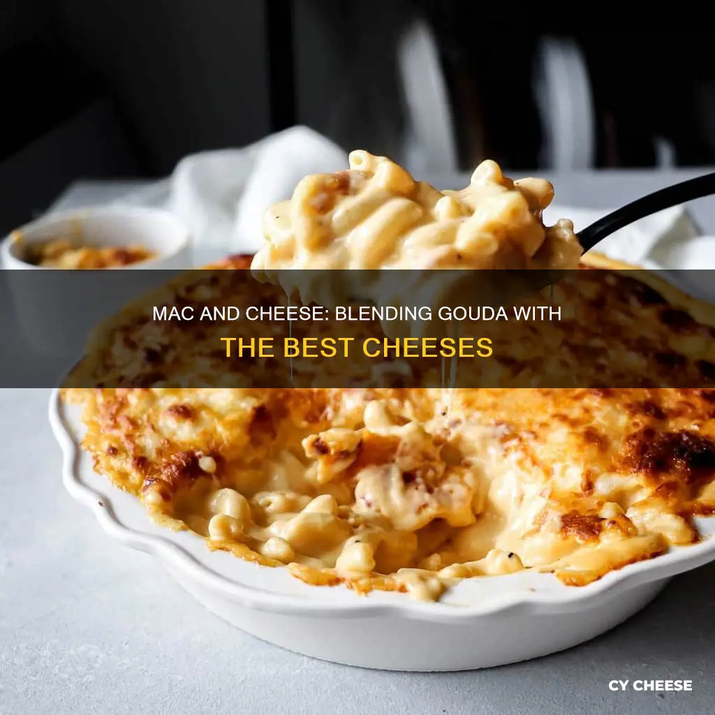 what cheese goes with gouda cheese in macaroni and cheese