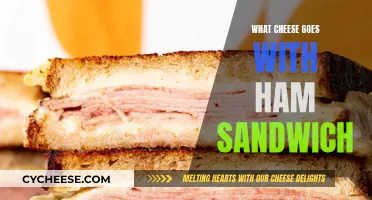 Ham Sandwiches: Best Cheeses to Compliment the Classic