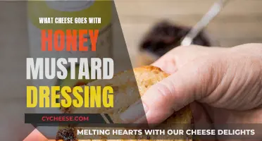 Cheese and Honey Mustard: Perfect Pairing Ideas