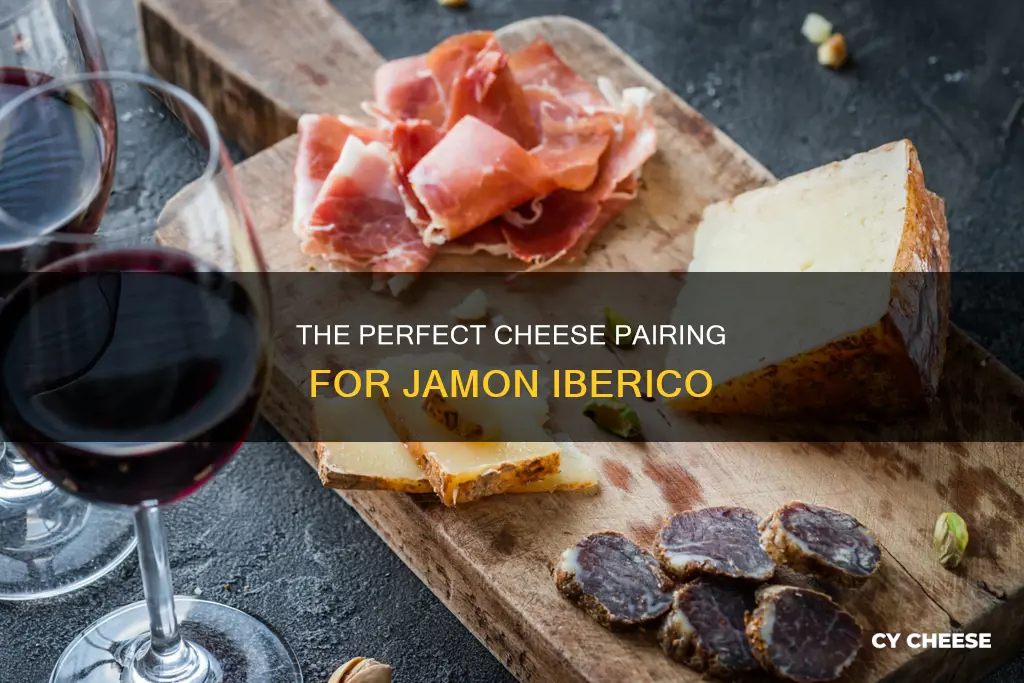 what cheese goes with jamon iberico