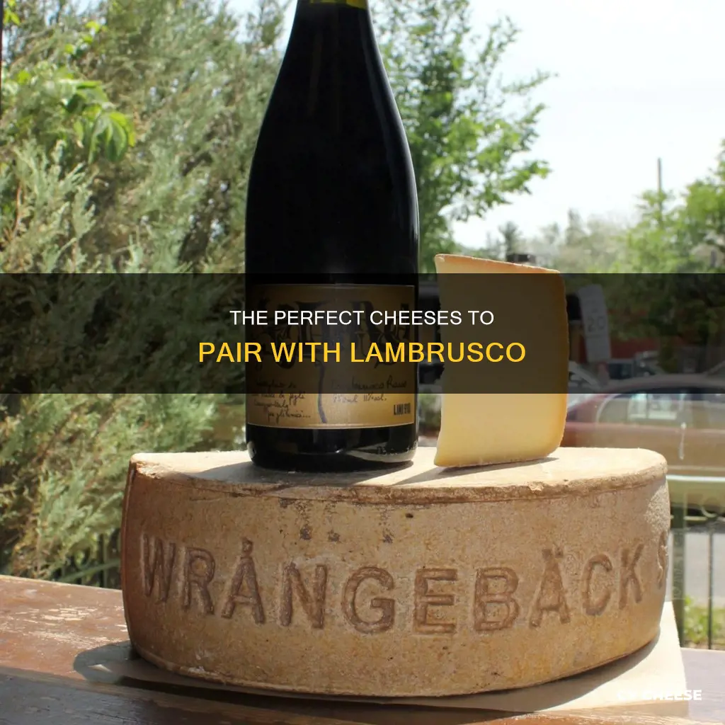 what cheese goes with lambrusco