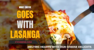 Lasagna and Cheese: Perfect Pairing for a Hearty Dish