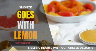 Cheese and Lemon: A Perfect Pairing Guide