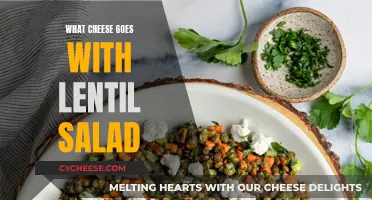 Cheese and Lentil Salad: The Perfect Pairing