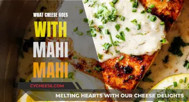 Cheese and Mahi Mahi: A Perfect Pairing Guide