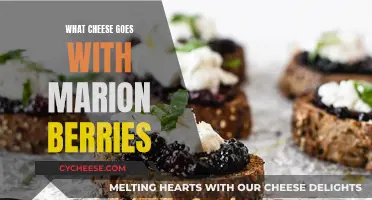 Cheese and Marion Berries: A Perfect Pairing Guide