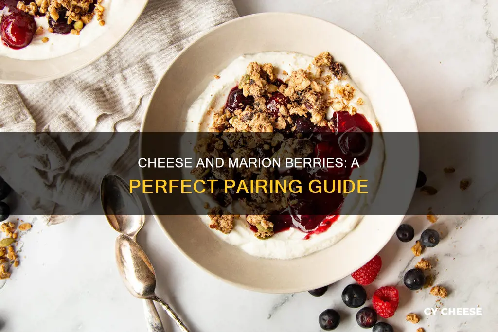 what cheese goes with marion berries