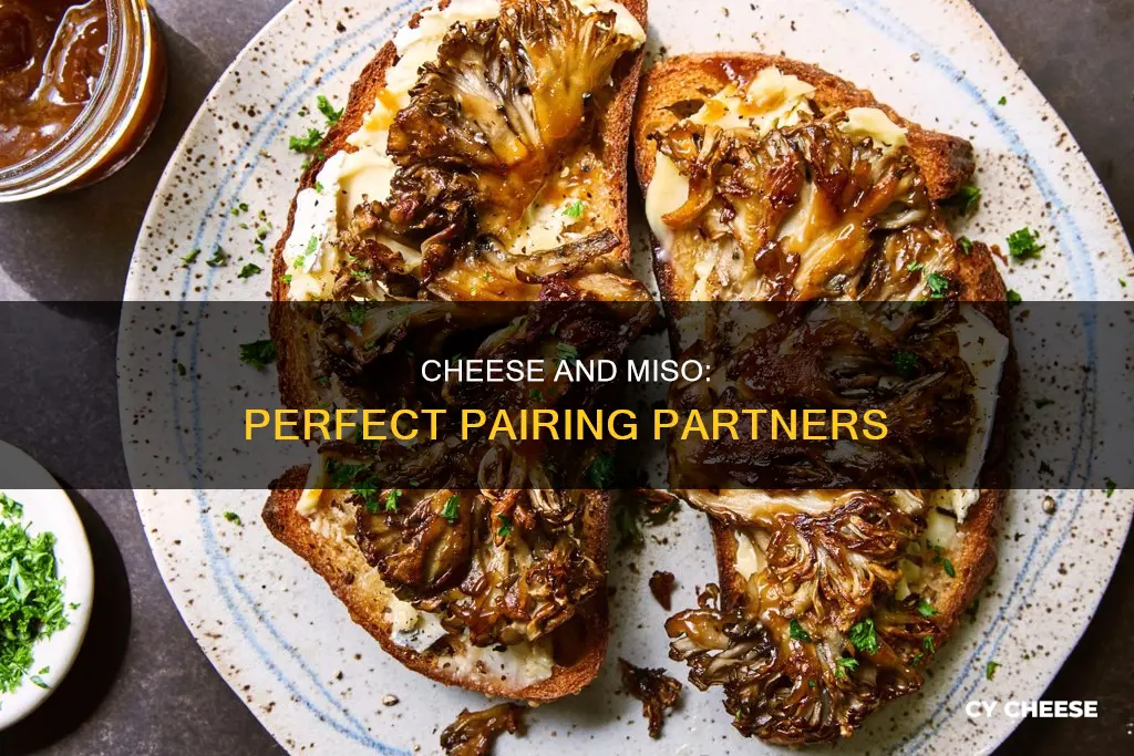 what cheese goes with miso