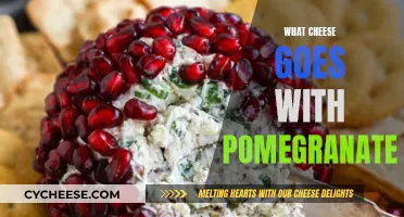 Cheese and Pomegranate: A Tasty Pairing Guide