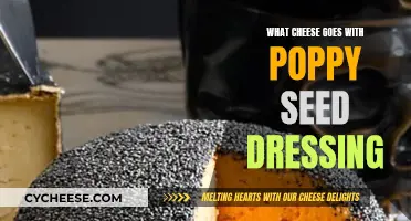 Poppy Seed Dressing: Best Paired Cheeses for a Flavorful Dish