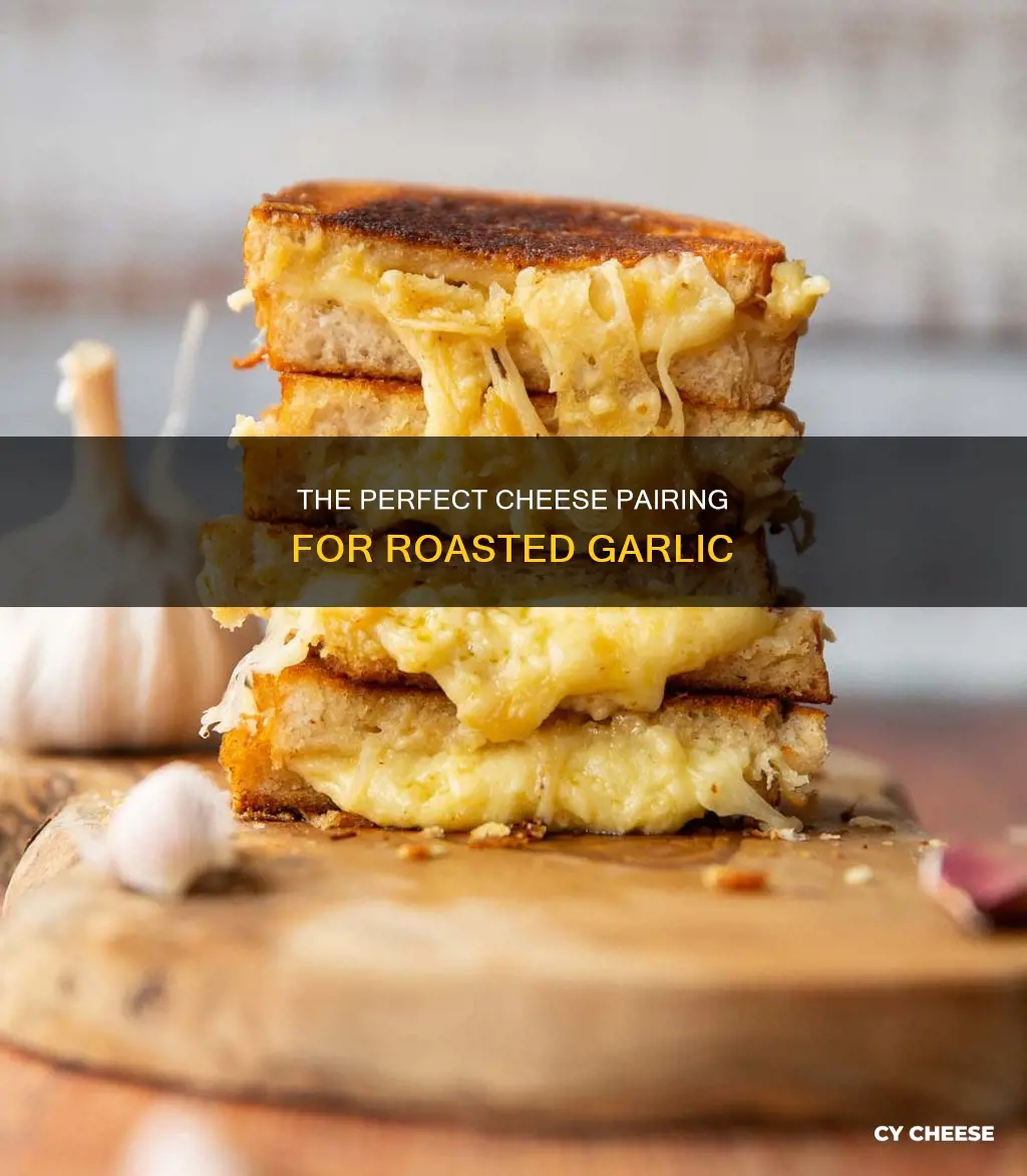 what cheese goes with roasted garlic