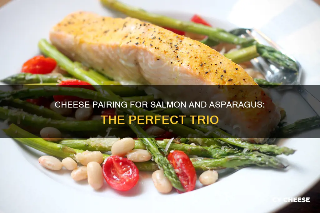 what cheese goes with salmon and asparagus