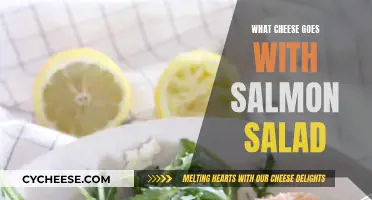 Cheese and Salmon Salad: Perfect Pairing Ideas