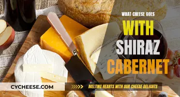 Shiraz Cabernet: Which Cheeses Pair Best?