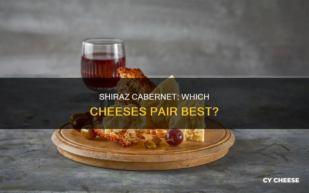 what cheese goes with shiraz cabernet