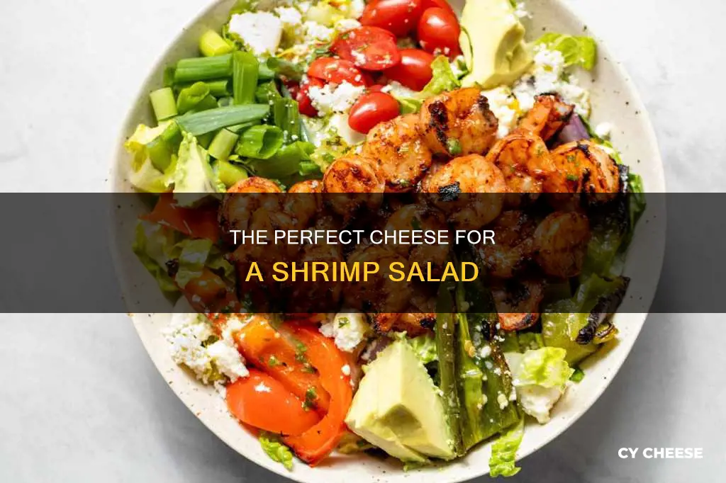 what cheese goes with shrimp salad