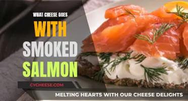 Smoked Salmon's Cheesy Companions: Finding the Perfect Pair