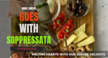 The Perfect Cheese Pairing for Soppressata: A Guide