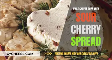 Cheese and Sour Cherry Spread: A Perfect Pairing