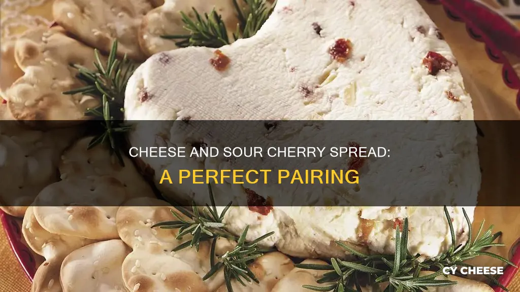 what cheese goes with sour cherry spread