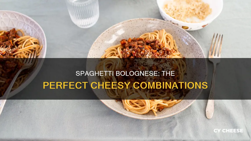 what cheese goes with spaghetti bolognese