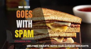 Spam's Perfect Cheese Partners: A Tasty Guide