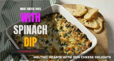 Best Cheeses to Pair with Spinach Dip