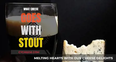 Stout and Cheese: Perfect Pairing for Beer Lovers