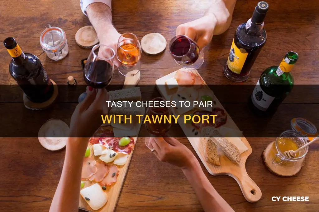 what cheese goes with tawny port