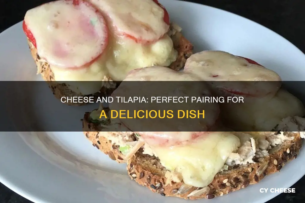 what cheese goes with tilapia