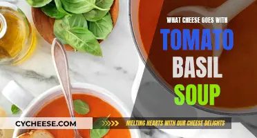 Tomato Basil Soup's Cheesy Partners: Finding the Perfect Match