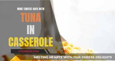 Cheese and Tuna: Perfect Partners in a Casserole