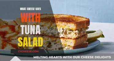 Tasty Tuna and Cheese: Perfect Pairing Ideas