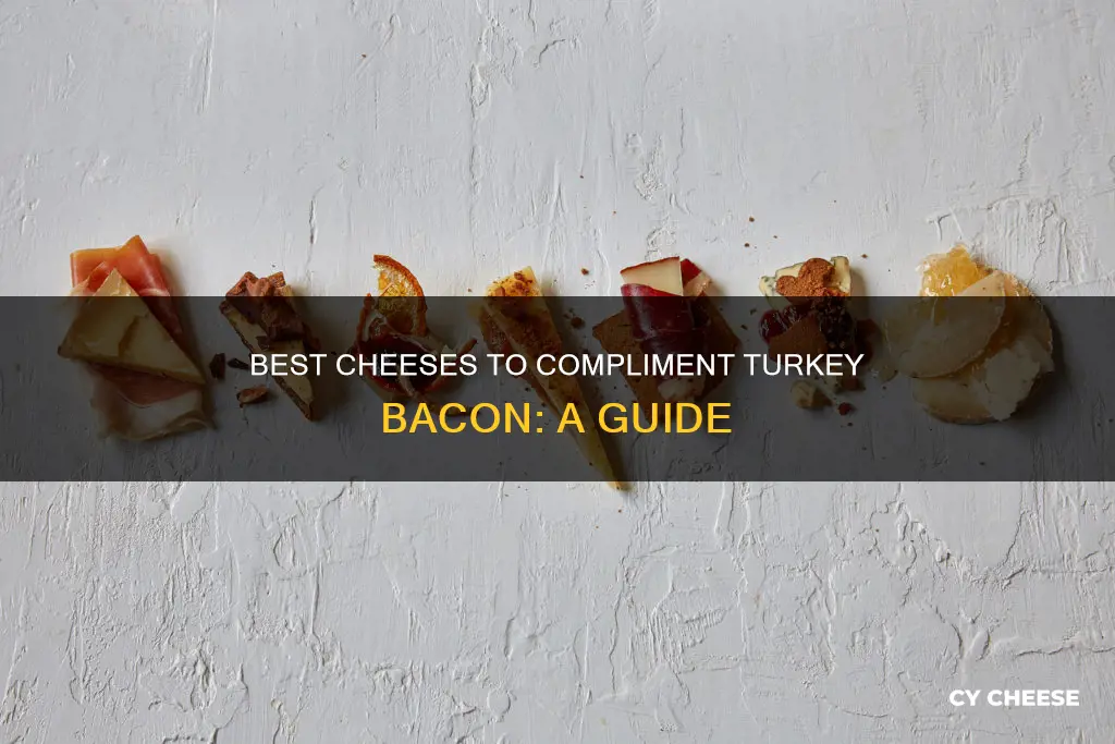 what cheese goes with turkey bacon