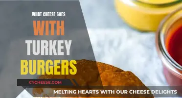 Turkey Burger Toppings: Best Cheeses to Compliment Your Patty