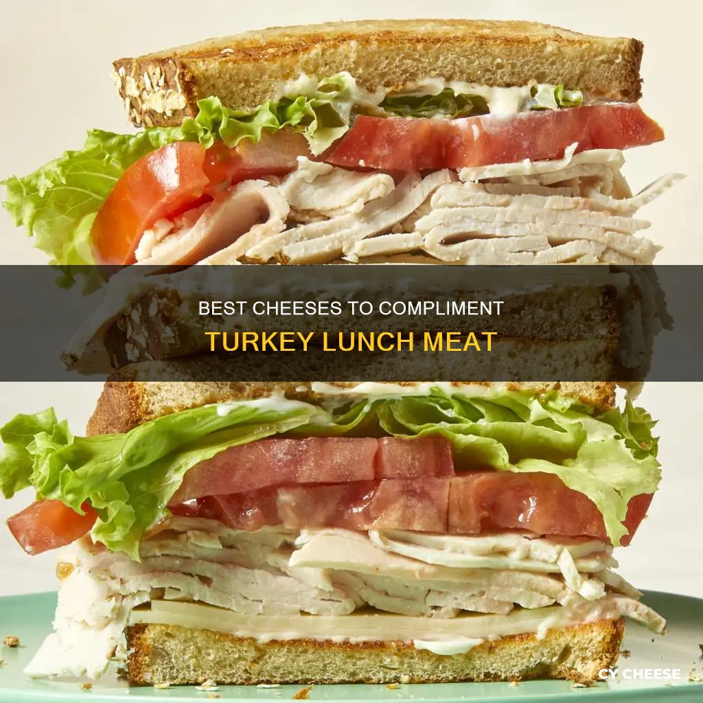 what cheese goes with turkey lunch meat