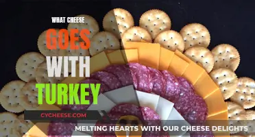 Turkey's Cheesy Partners: Perfect Cheese Pairings for Your Meat