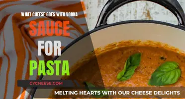 Cheese and Vodka Sauce: Perfect Pasta Pairings