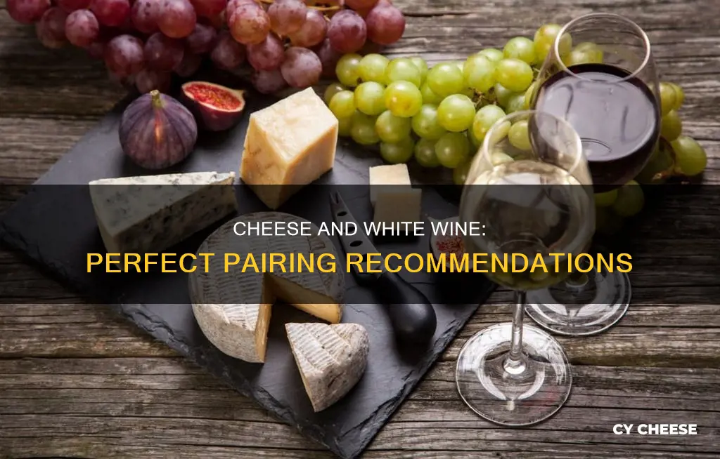 what cheese goes with white blend wine