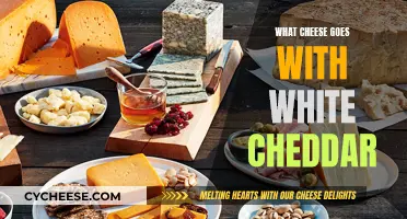 The Perfect Pair: Cheeses to Complement White Cheddar