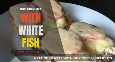 Cheese and White Fish: A Perfect Pairing