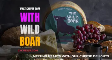 Wild Boar and Cheese: The Perfect Pairing