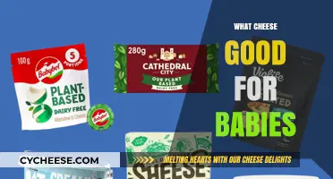 Safe and Nutritious Cheese Options for Your Baby's Diet