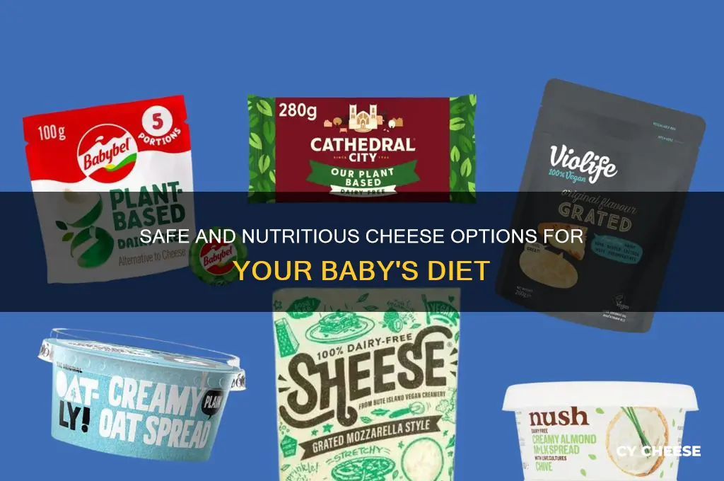 what cheese good for babies