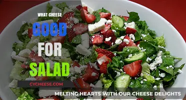 Top Cheeses to Elevate Your Salad: Flavorful and Healthy Choices