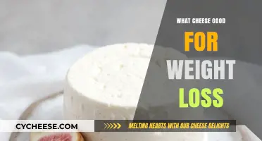 Cheese for Weight Loss: Top Healthy Options to Try