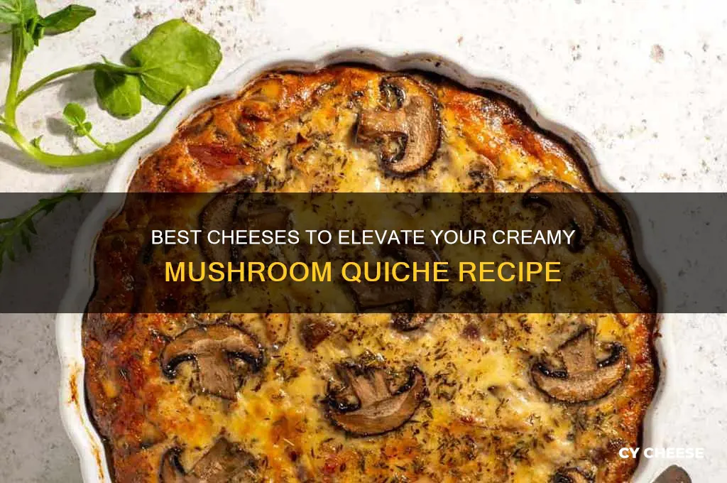 what cheese good in mushroom quiche