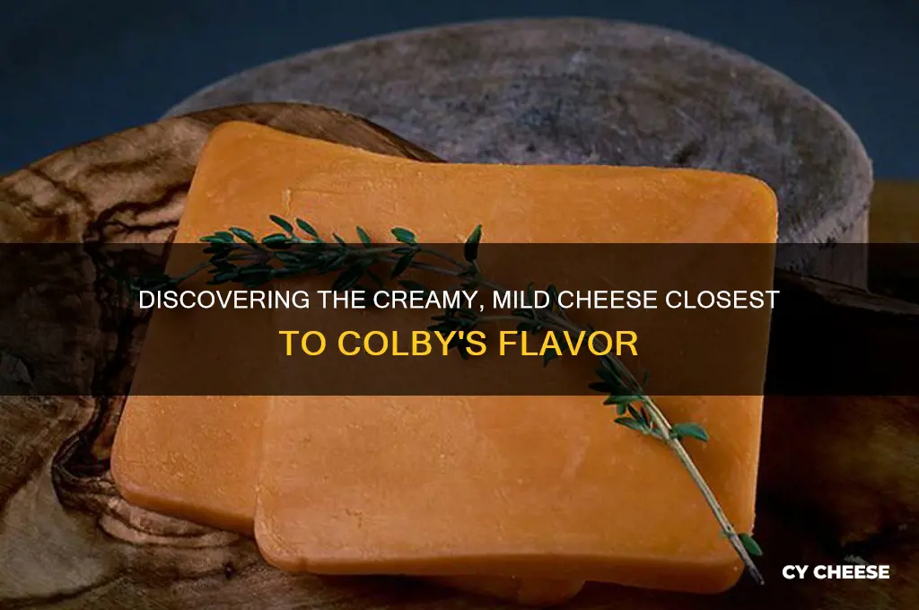 what cheese has a closest flavor to colby cheese