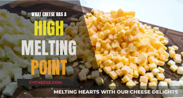 Cheeses That Can Take the Heat: High Melting Point Varieties