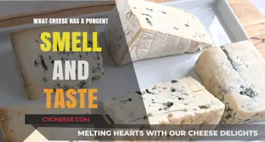 Unveiling the Bold: Pungent Cheeses with Intense Aromas and Flavors